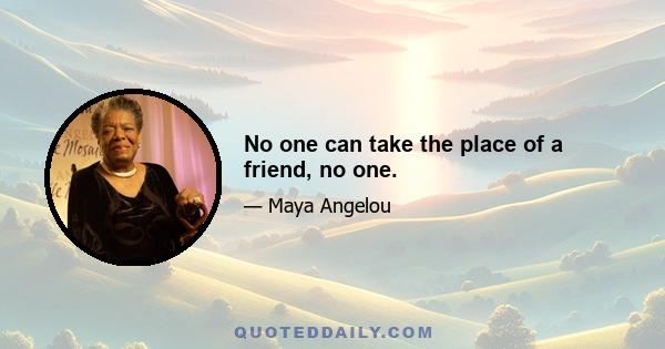 No one can take the place of a friend, no one.