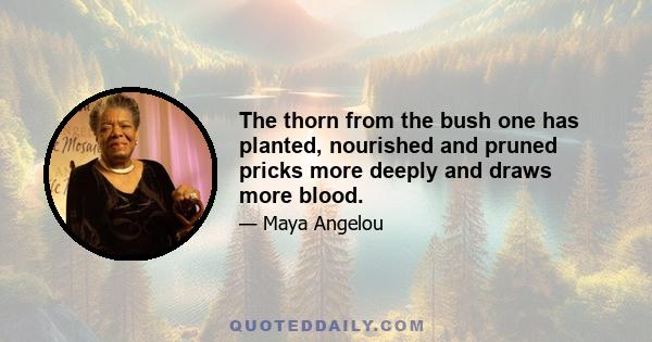 The thorn from the bush one has planted, nourished and pruned pricks more deeply and draws more blood.