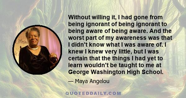 Without willing it, I had gone from being ignorant of being ignorant to being aware of being aware. And the worst part of my awareness was that I didn't know what I was aware of. I knew I knew very little, but I was