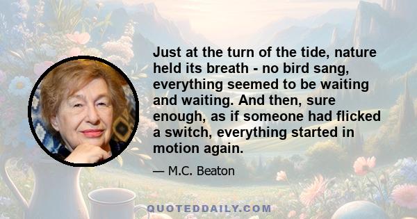 Just at the turn of the tide, nature held its breath - no bird sang, everything seemed to be waiting and waiting. And then, sure enough, as if someone had flicked a switch, everything started in motion again.