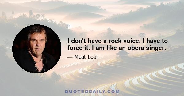 I don't have a rock voice. I have to force it. I am like an opera singer.