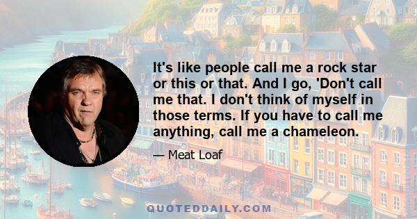 It's like people call me a rock star or this or that. And I go, 'Don't call me that. I don't think of myself in those terms. If you have to call me anything, call me a chameleon.