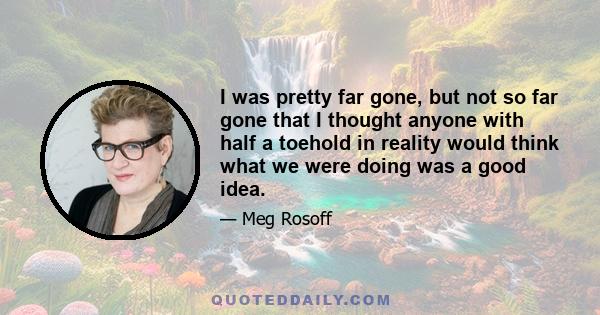 I was pretty far gone, but not so far gone that I thought anyone with half a toehold in reality would think what we were doing was a good idea.