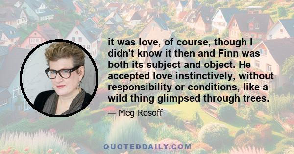 it was love, of course, though I didn't know it then and Finn was both its subject and object. He accepted love instinctively, without responsibility or conditions, like a wild thing glimpsed through trees.