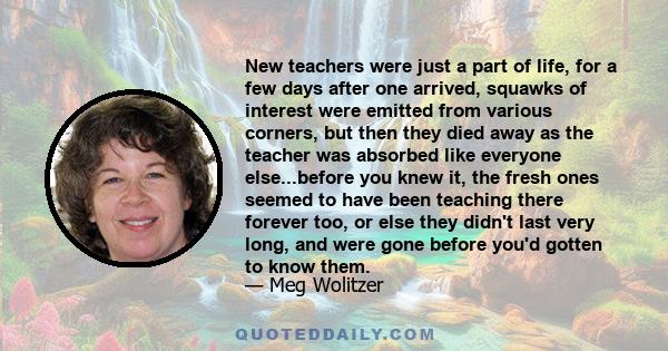 New teachers were just a part of life, for a few days after one arrived, squawks of interest were emitted from various corners, but then they died away as the teacher was absorbed like everyone else...before you knew