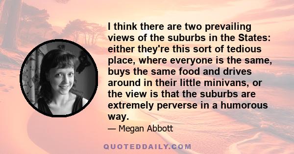 I think there are two prevailing views of the suburbs in the States: either they're this sort of tedious place, where everyone is the same, buys the same food and drives around in their little minivans, or the view is