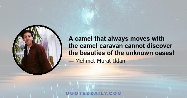 A camel that always moves with the camel caravan cannot discover the beauties of the unknown oases!