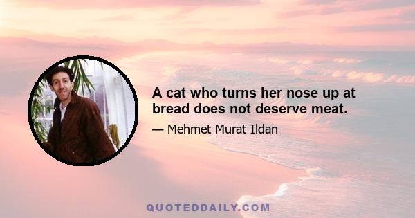 A cat who turns her nose up at bread does not deserve meat.