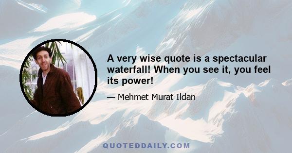 A very wise quote is a spectacular waterfall! When you see it, you feel its power!