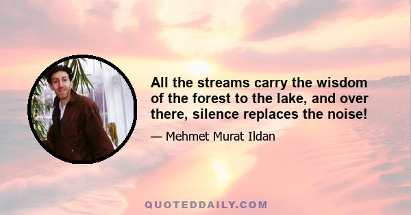 All the streams carry the wisdom of the forest to the lake, and over there, silence replaces the noise!