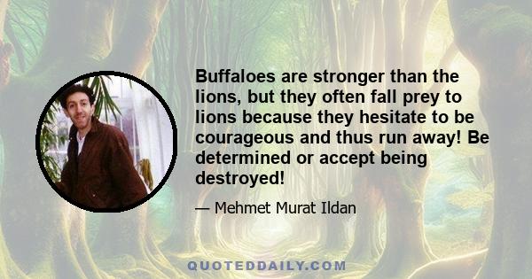 Buffaloes are stronger than the lions, but they often fall prey to lions because they hesitate to be courageous and thus run away! Be determined or accept being destroyed!