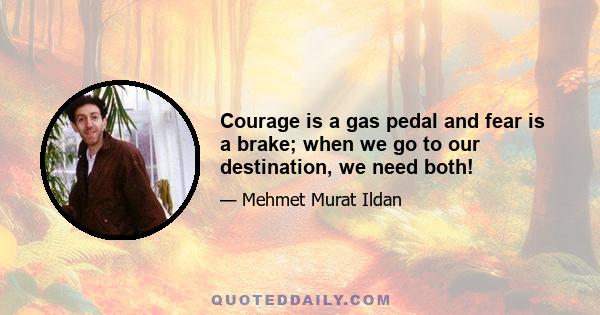 Courage is a gas pedal and fear is a brake; when we go to our destination, we need both!