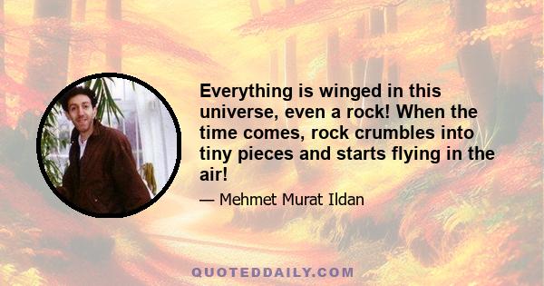 Everything is winged in this universe, even a rock! When the time comes, rock crumbles into tiny pieces and starts flying in the air!