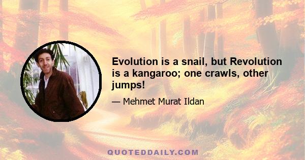 Evolution is a snail, but Revolution is a kangaroo; one crawls, other jumps!