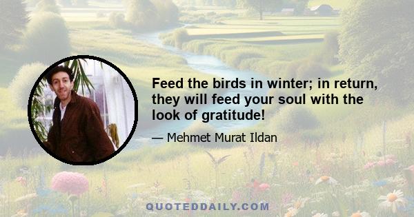 Feed the birds in winter; in return, they will feed your soul with the look of gratitude!