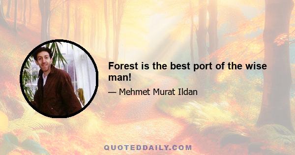 Forest is the best port of the wise man!