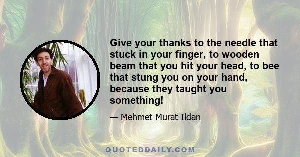 Give your thanks to the needle that stuck in your finger, to wooden beam that you hit your head, to bee that stung you on your hand, because they taught you something!