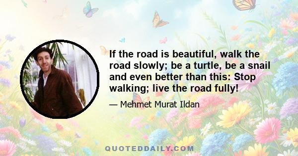 If the road is beautiful, walk the road slowly; be a turtle, be a snail and even better than this: Stop walking; live the road fully!