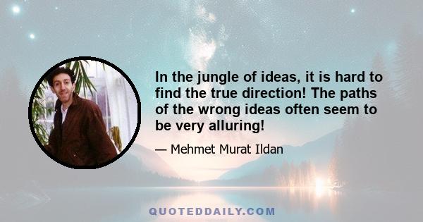 In the jungle of ideas, it is hard to find the true direction! The paths of the wrong ideas often seem to be very alluring!