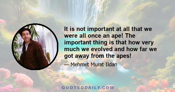 It is not important at all that we were all once an ape! The important thing is that how very much we evolved and how far we got away from the apes!