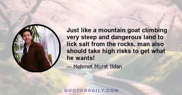 Just like a mountain goat climbing very steep and dangerous land to lick salt from the rocks, man also should take high risks to get what he wants!