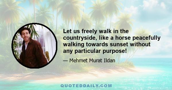 Let us freely walk in the countryside, like a horse peacefully walking towards sunset without any particular purpose!