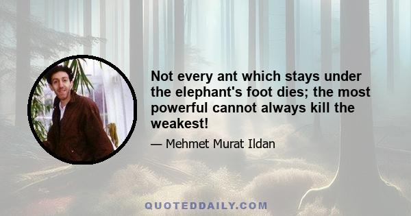 Not every ant which stays under the elephant's foot dies; the most powerful cannot always kill the weakest!