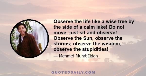 Observe the life like a wise tree by the side of a calm lake! Do not move; just sit and observe! Observe the Sun, observe the storms; observe the wisdom, observe the stupidities!