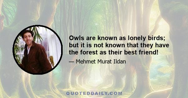 Owls are known as lonely birds; but it is not known that they have the forest as their best friend!