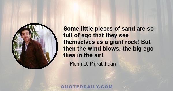 Some little pieces of sand are so full of ego that they see themselves as a giant rock! But then the wind blows, the big ego flies in the air!