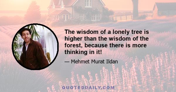 The wisdom of a lonely tree is higher than the wisdom of the forest, because there is more thinking in it!