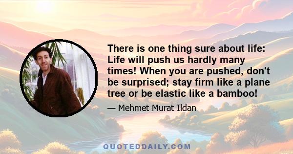 There is one thing sure about life: Life will push us hardly many times! When you are pushed, don't be surprised; stay firm like a plane tree or be elastic like a bamboo!