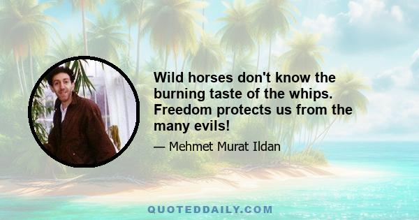 Wild horses don't know the burning taste of the whips. Freedom protects us from the many evils!