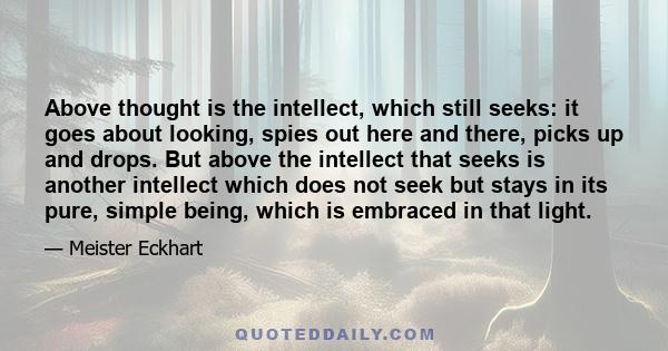 Above thought is the intellect, which still seeks: it goes about looking, spies out here and there, picks up and drops. But above the intellect that seeks is another intellect which does not seek but stays in its pure,