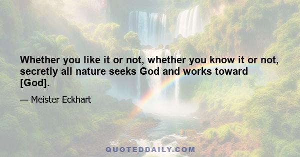 Whether you like it or not, whether you know it or not, secretly all nature seeks God and works toward [God].