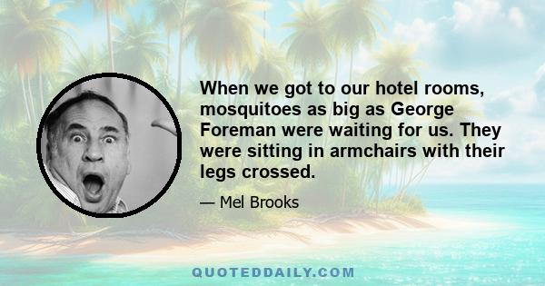 When we got to our hotel rooms, mosquitoes as big as George Foreman were waiting for us. They were sitting in armchairs with their legs crossed.