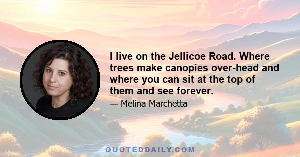 I live on the Jellicoe Road. Where trees make canopies over-head and where you can sit at the top of them and see forever.