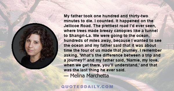 My father took one hundred and thirty-two minutes to die. I counted. It happened on the Jellicoe Road. The prettiest road I’d ever seen, where trees made breezy canopies like a tunnel to Shangri-La. We were going to the 