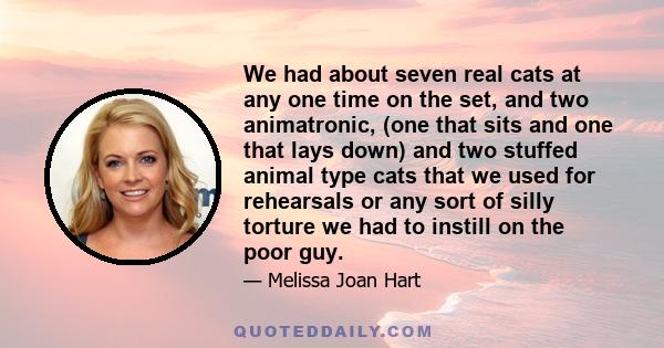 We had about seven real cats at any one time on the set, and two animatronic, (one that sits and one that lays down) and two stuffed animal type cats that we used for rehearsals or any sort of silly torture we had to