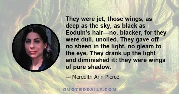 They were jet, those wings, as deep as the sky, as black as Eoduin's hair—no, blacker, for they were dull, unoiled. They gave off no sheen in the light, no gleam to the eye. They drank up the light and diminished it: