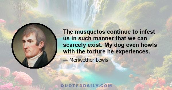 The musquetos continue to infest us in such manner that we can scarcely exist. My dog even howls with the torture he experiences.