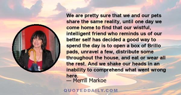 We are pretty sure that we and our pets share the same reality, until one day we come home to find that our wistful, intelligent friend who reminds us of our better self has decided a good way to spend the day is to