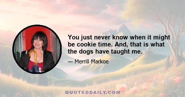 You just never know when it might be cookie time. And, that is what the dogs have taught me.