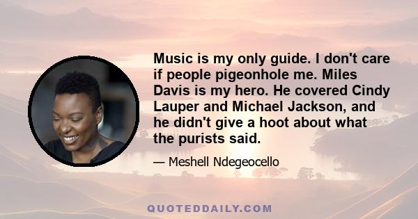 Music is my only guide. I don't care if people pigeonhole me. Miles Davis is my hero. He covered Cindy Lauper and Michael Jackson, and he didn't give a hoot about what the purists said.