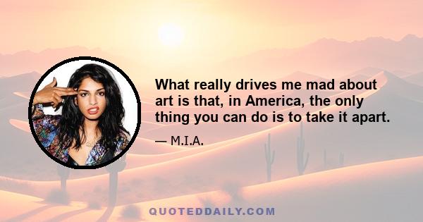 What really drives me mad about art is that, in America, the only thing you can do is to take it apart.