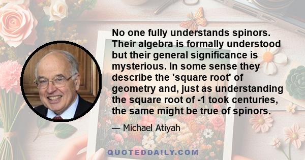 No one fully understands spinors. Their algebra is formally understood but their general significance is mysterious. In some sense they describe the 'square root' of geometry and, just as understanding the square root