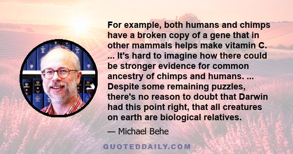 For example, both humans and chimps have a broken copy of a gene that in other mammals helps make vitamin C. ... It's hard to imagine how there could be stronger evidence for common ancestry of chimps and humans. ...