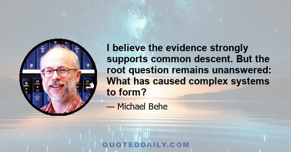 I believe the evidence strongly supports common descent. But the root question remains unanswered: What has caused complex systems to form?