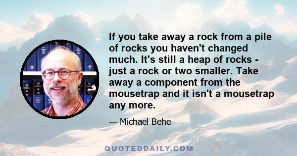 If you take away a rock from a pile of rocks you haven't changed much. It's still a heap of rocks - just a rock or two smaller. Take away a component from the mousetrap and it isn't a mousetrap any more.