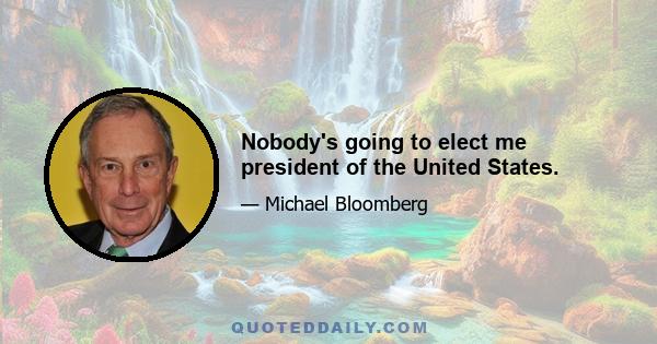 Nobody's going to elect me president of the United States.